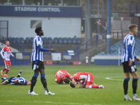  Three players go down  during the Sky Bet Championship match between Sheffield Wednesday and Millwall at Hillsborough, Sheffield on Saturda...