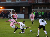 Dominic McHale of AFC Telford  scores their second goal during the Vanarama National League North match between Darlington and AFC Telford U...