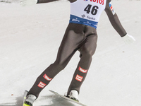 Michael Hayboeck (AUT) during the FIS ski jumping World Cup, Wisla, Poland, on November 20, 2020. (