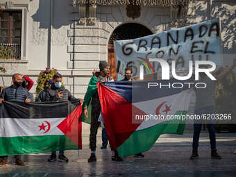 Protesters with Saharan flags and a placard that says 'Granada with the Sahara' during a demonstration to demand the end of Morocco's occupa...