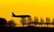 Landing airplane agaisnt the orange yellow sky. Dawn and sunrise golden hour with warm mag...