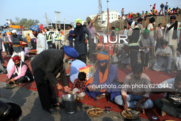 Farmers have meals in a 'Langar', on the occasion of the 551st birth anniversary of Guru Nanak Dev, during a protest against the Centre's ne...