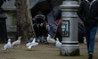 A rough sleeper seen in Dublin city center feeding a flock of birds.Taoiseach (Irish PM)...