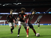Yannick Carrasco of Atletico Madrid and Chris Richards and Angelo Stiller of Bayern compete for the ball during the UEFA Champions League Gr...