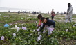 People visits to see the under construction Padma Bridge at morning in Munshinganj outskir...