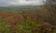 A view of a fence between two fields, and the border between Northern Ireland and the Repu...
