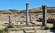 The ruins of the ancient Roman town of Volubilis in Meknes, Morocco, Africa. Volubilis is...