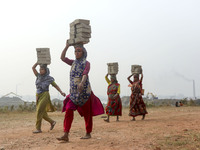 Brickfield female workers are work in brickfields at Narayanganj near Dhaka Bangladesh on January 15, 2021. (
