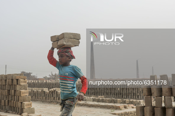 Brickfield children workers are work in brickfields at Narayanganj near Dhaka Bangladesh on January 15, 2021. 