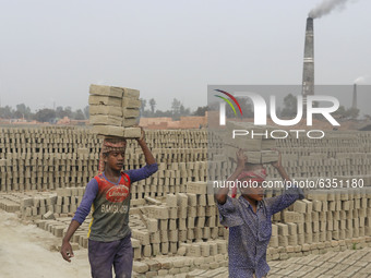 Brickfield children workers are work in brickfields at Narayanganj near Dhaka Bangladesh on January 15, 2021. (
