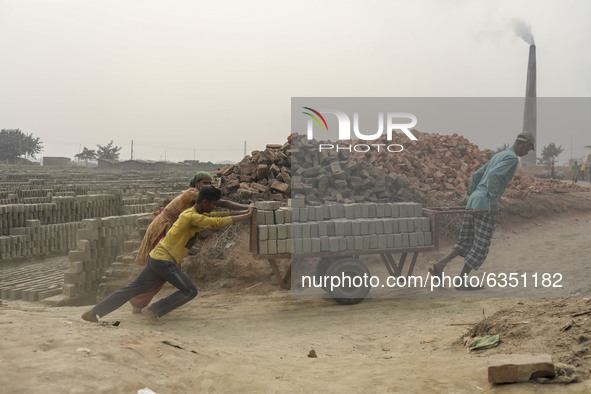 Brickfield workers are work in brickfields at Narayanganj near Dhaka Bangladesh on January 15, 2021. 