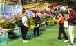 People pose in front of orchids at the Chinese New Year Flower market in Victoria Park. Af...