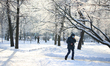 A man walks past trees covered with frost in the center of St. Petersburg. the air tempera...