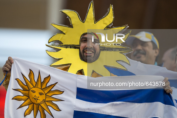 (150617) -- LA SERENA, June 17, 2015 () -- A fan from Uruguay reacts prior to the Group B match of the Copa America Chile 2015 between Argen...