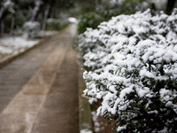The snowfall called 'Medea' showed up in the area of Zografou in Athens, Greece on February 15, 2021. (