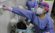 Angélica Martínez, dental surgeon, attends to a patient who attended for a resin placement...