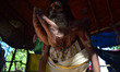 An indian sadhu performs yoga in his temporary tent  as world celebrates International Yog...