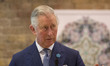 
Date: 26/03/14

Pictured: The Prince of Wales  
Caption: The Prince of Wales, Preside...