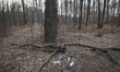 Plastic and glass bottles are seen disposed off in a forest in Warsaw, Poland on March 28,...