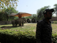 Visitors clicking their pictures in front of an enclosure of elephants at the National Zoological Park in New Delhi on April 1, 2021, on the...