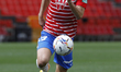 Jorge Molina, of Granada CF during the La Liga match between Granada CF and Villarreal CF...