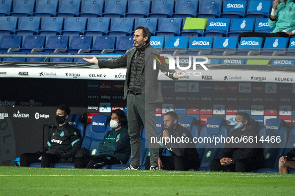 Vicente Moreno during the match between RCD Espanyol and CD Leganes, corresponding to the week 34 of the Liga Smartbank, played at the RCDE...