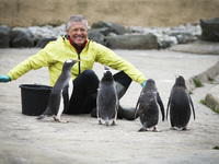 Scottish Liberal Democrat leader Willie Rennie feeds a group of penguins at Edinburgh Zoo on May 3, 2021 in Edinburgh, Scotland. As he conti...