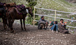 BALTAL, INDIAN ADMINISTERED KASHMIR, INDIA - JULY 02: Hindu pilgrims on ponies walk along...