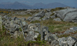 Stone walled fields near Ervallagh, Roundstone.On Friday, 25 April 2021, in Roundstone, I...