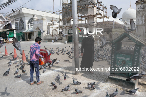 A boy feeds pigeons outside deserted Hazratbal mosque during Covid-19 lockdown on the last friday of Ramadan in Srinagar, Indian Administere...