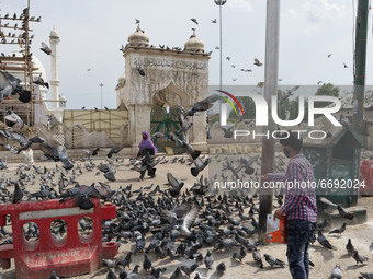 A boy feeds pigeons outside deserted Hazratbal mosque during Covid-19 lockdown on the last friday of Ramadan in Srinagar, Indian Administere...