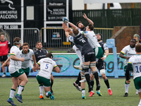    Callum Chick of Newcastle Falcons and Greg Peterson contest a high ball during the Gallagher Premiership match between Newcastle Falcons...