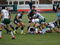    Nick Phipps passes during the Gallagher Premiership match between Newcastle Falcons and London Irish at Kingston Park, Newcastle on Satur...