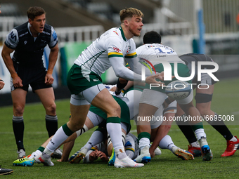    Ollie Hassell-Collins of London Irish in action during the Gallagher Premiership match between Newcastle Falcons and London Irish at King...