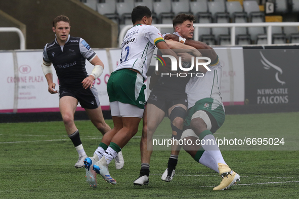  Adam Radwan of Newcastle Falcons is challenghed by Albert Tuisue of London Irish and Phil Cokanasiga of London Irish during the Gallagher P...
