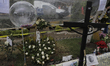 A balloon in memory of the minor Brandon Giovanni in an offering in front of ground zero b...