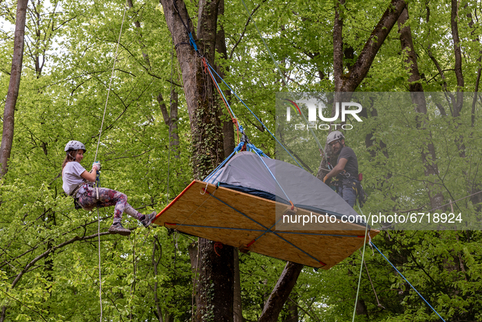 Protest Against Deforestation In Poland