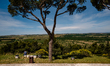 People resting in front of the Castel del Monte on the day of the reopening on May 22, 202...