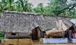 Traditional village home with a palm leaf thatched roof in Palani (Pazhani), Tamil Nadu, I...