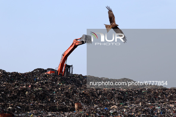 Municipality worker working using a excavator on a garbage-heap at Boragaon dumping site, on the eve of World Environment Day, in Guwahati,...