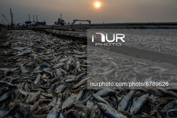 A fisherman dries fish at a fishermen village in the North of Indonesia capital Jakarta on 8 June 2021. As people around the world mark Worl...