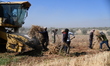Farmers in northern Syria harvest their lands, where the majority of farmers planted black...