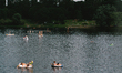people enjoy boating on  the fuhlinger lake in Cologne, Germany on June 17, 2021 as temper...