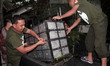 Officers Sumatran Orangutan Conservation Programme (SOCP) put the Sumatran orangutan in a...
