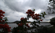A view of Mansagar Lake  ' Jal Mahal' after weather turn cloudy during the Monsoon season...