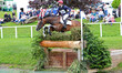 Rosie Fry riding Aunt Augusta during 4* Cross Country event at the Barbury Castle Internat...
