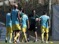 Unai Emery head coach of Villarreal gives instructions to his players during a Pre-Season friendly match between Valencia CF and Villarreal...