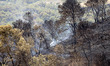 Firefighters and volunteers are working to stop the wildfire in the counties of Anoia and...