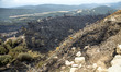 Firefighters and volunteers are working to stop the wildfire in the counties of Anoia and...