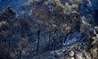 Firefighters and volunteers are working to stop the wildfire in the counties of Anoia and...